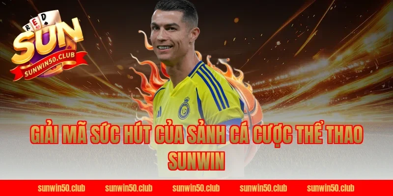 Giải mã sức hút của sảnh cá cược thể thao Sunwin